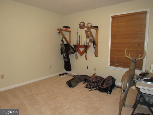 workout room featuring carpet