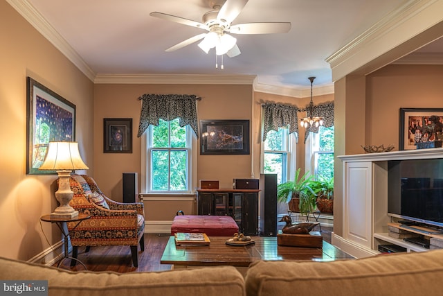 living room featuring ceiling fan with notable chandelier, hardwood / wood-style floors, and crown molding