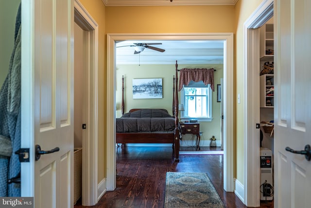 hallway with crown molding and dark wood-type flooring