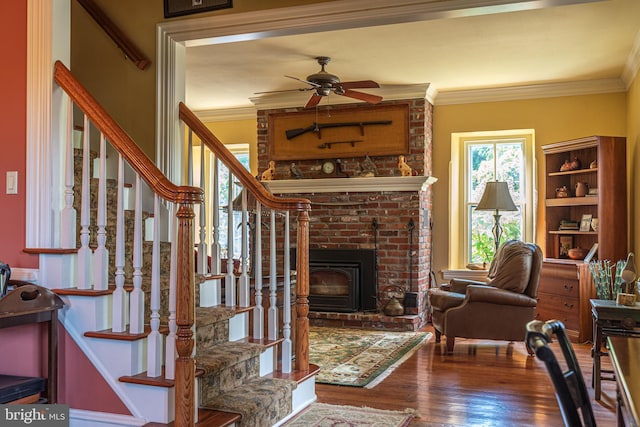 living room with ceiling fan, a fireplace, hardwood / wood-style floors, and crown molding