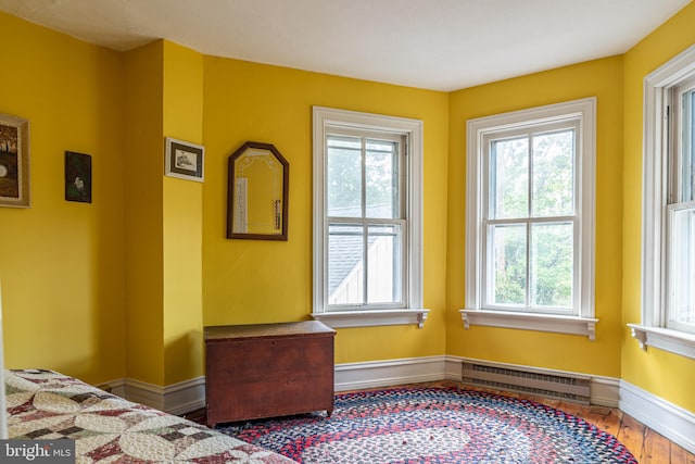 bedroom featuring hardwood / wood-style flooring