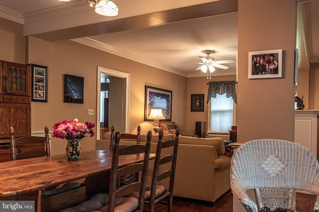 dining area with ceiling fan, ornamental molding, and dark hardwood / wood-style flooring