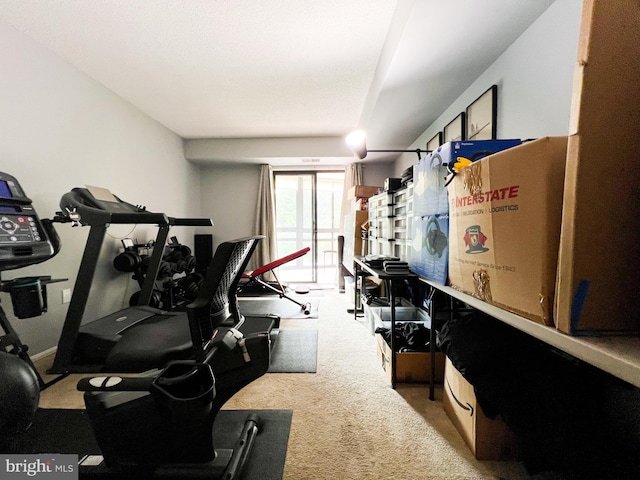 workout area with carpet