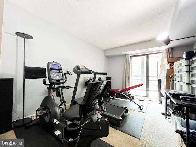 workout area featuring a textured ceiling and carpet flooring