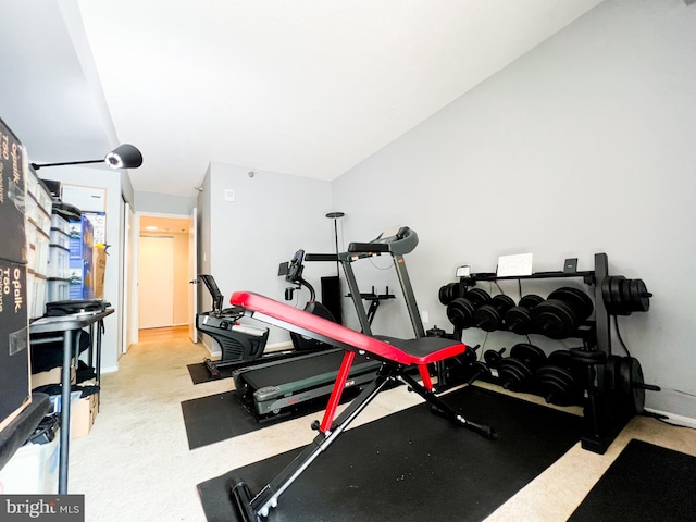 workout area with lofted ceiling