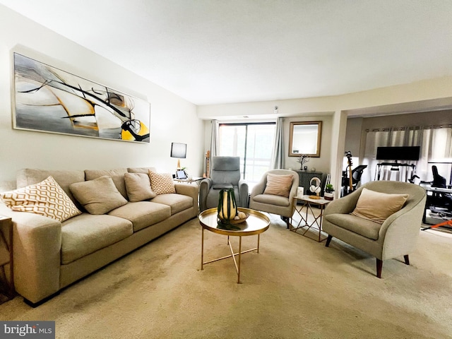 living room featuring carpet floors