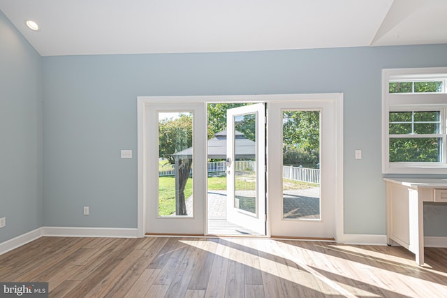 doorway featuring light wood-type flooring and a healthy amount of sunlight