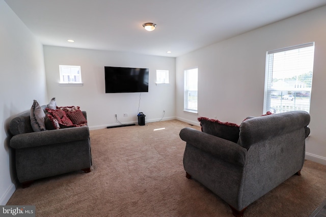 living room featuring carpet