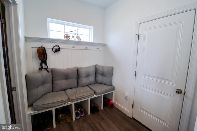 mudroom featuring dark wood-type flooring