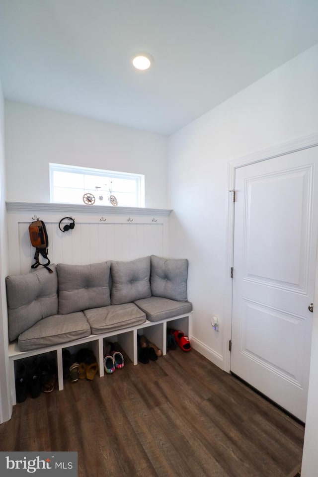 mudroom featuring dark hardwood / wood-style floors