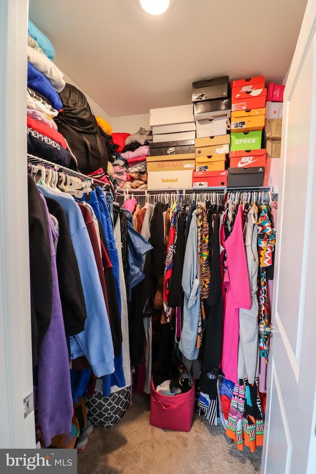 spacious closet featuring carpet