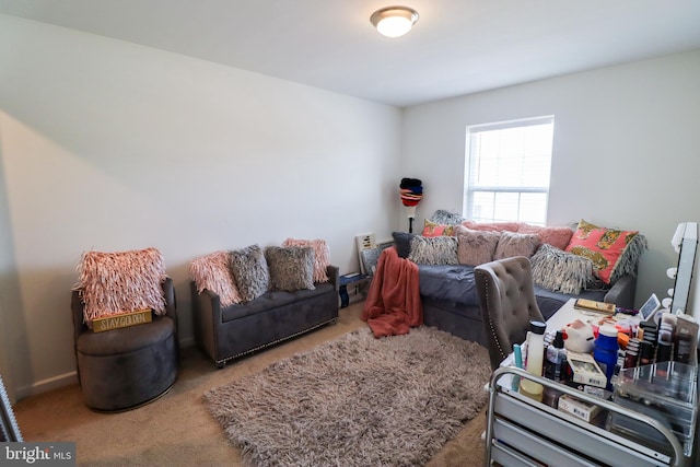 view of carpeted living room