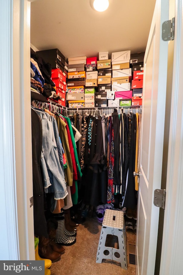 walk in closet with carpet flooring