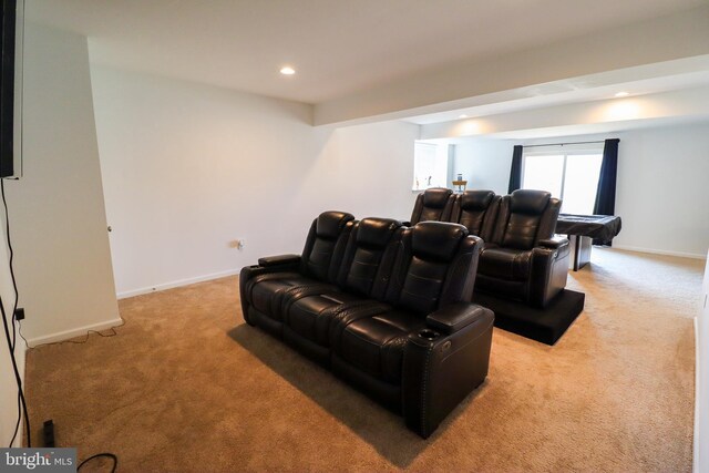 cinema room with light carpet