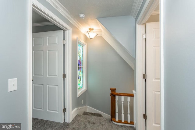 corridor featuring carpet flooring, a textured ceiling, and ornamental molding