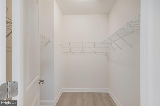 walk in closet with light wood-type flooring