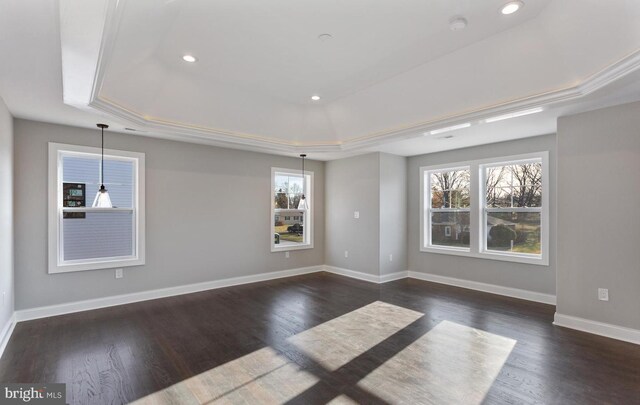 spare room featuring a raised ceiling and dark wood-type flooring