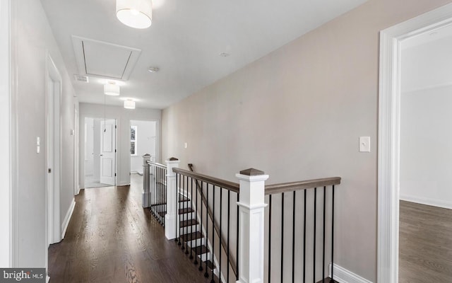 hallway featuring dark hardwood / wood-style floors