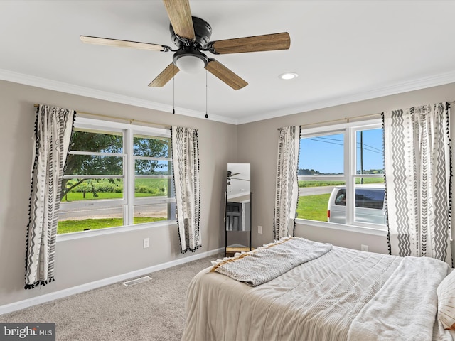 bedroom featuring crown molding, ceiling fan, and carpet