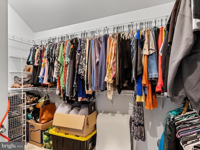 walk in closet with lofted ceiling and carpet