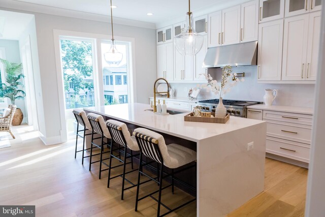 kitchen featuring light hardwood / wood-style flooring, decorative light fixtures, white cabinetry, sink, and a center island with sink