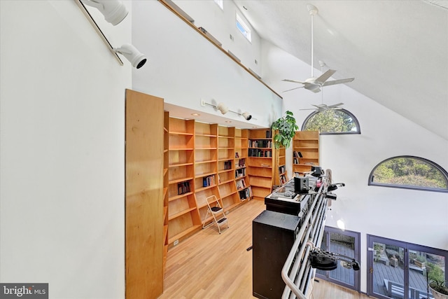 workout area featuring high vaulted ceiling, a healthy amount of sunlight, wood finished floors, and a ceiling fan