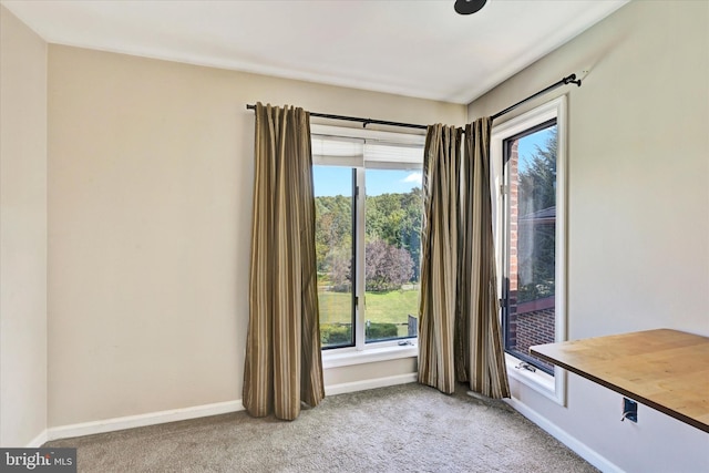 interior space with baseboards and light colored carpet