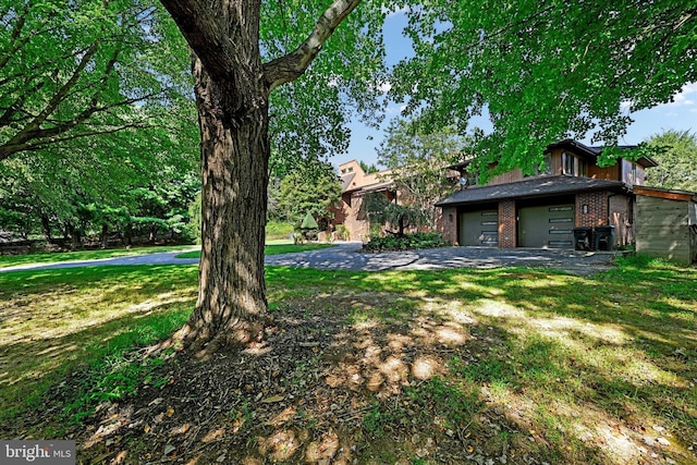 view of yard featuring driveway