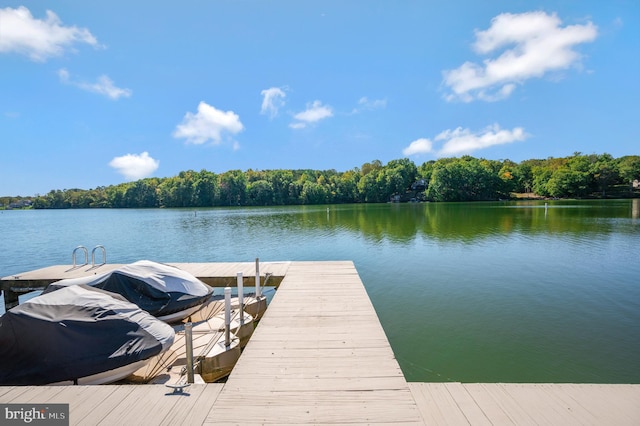 dock area featuring a water view