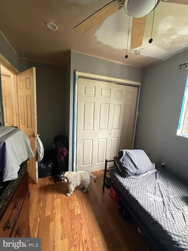 bedroom with wood-type flooring, ceiling fan, and a closet