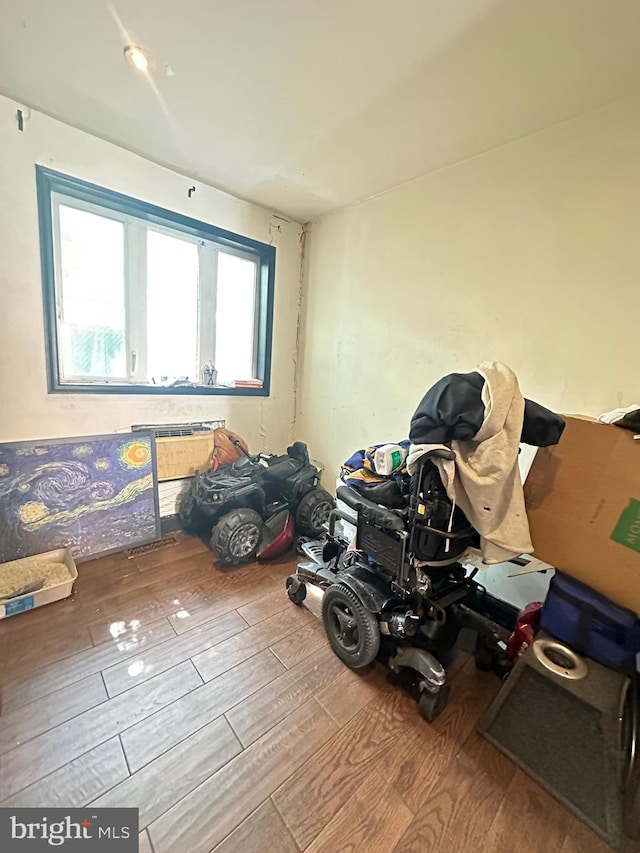 miscellaneous room featuring a healthy amount of sunlight and wood-type flooring