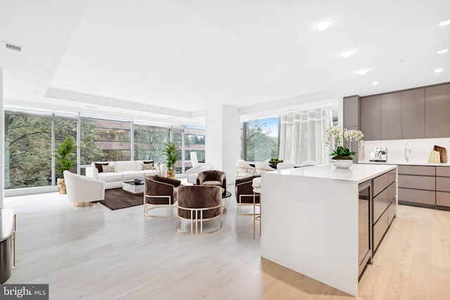 kitchen with gray cabinetry, a center island, light hardwood / wood-style floors, and a wealth of natural light