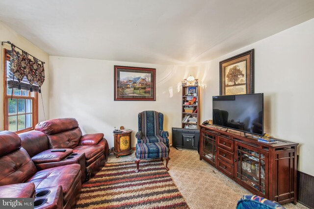 living room with light colored carpet