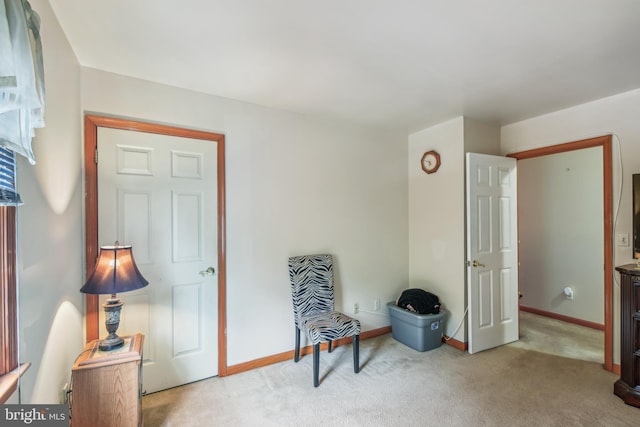 sitting room with light carpet