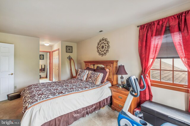 carpeted bedroom with a closet