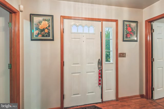 foyer entrance featuring dark hardwood / wood-style flooring