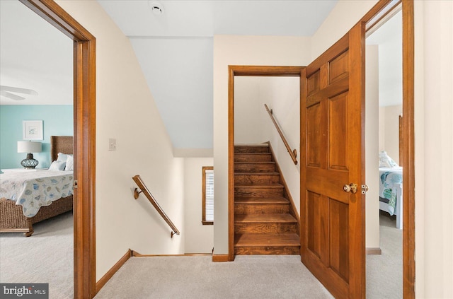 stairs with carpet