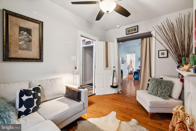 living room featuring ceiling fan and light wood-type flooring