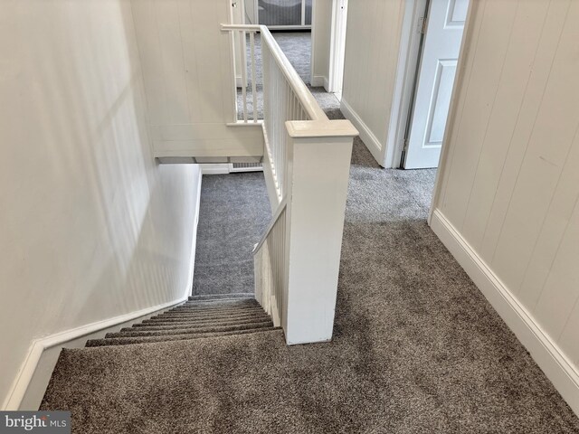 stairs with carpet floors