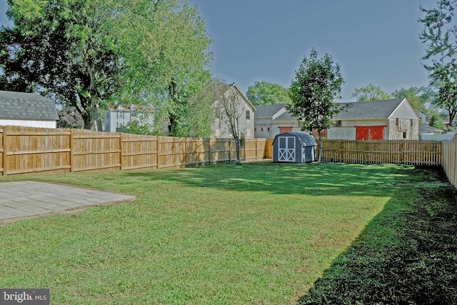 view of yard with a storage shed