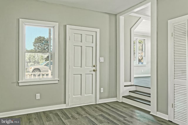 entryway with wood-type flooring and a wealth of natural light