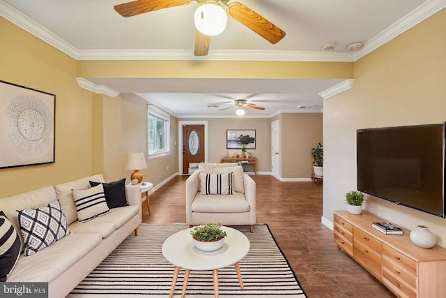 living room featuring ceiling fan, dark wood-type flooring, and crown molding