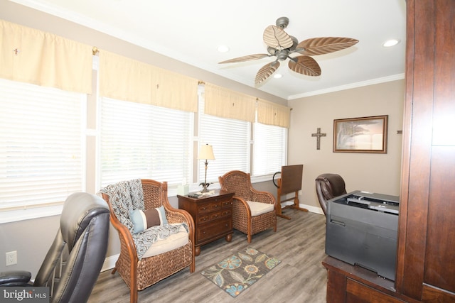 office area featuring crown molding, ceiling fan, and hardwood / wood-style flooring