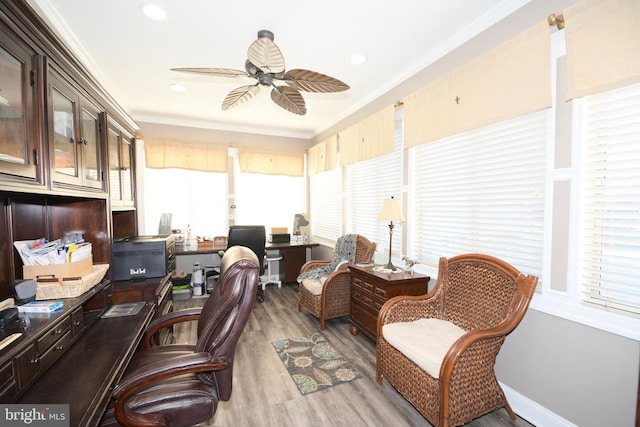 office with ceiling fan, light hardwood / wood-style flooring, and crown molding