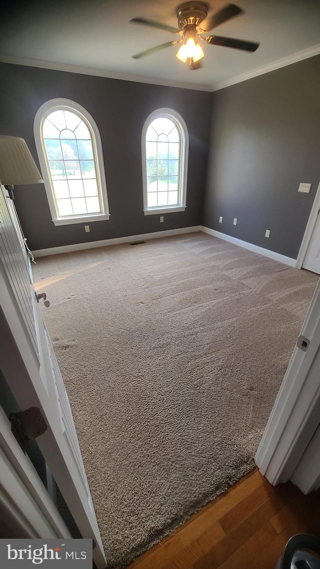 empty room with carpet flooring, ceiling fan, and crown molding