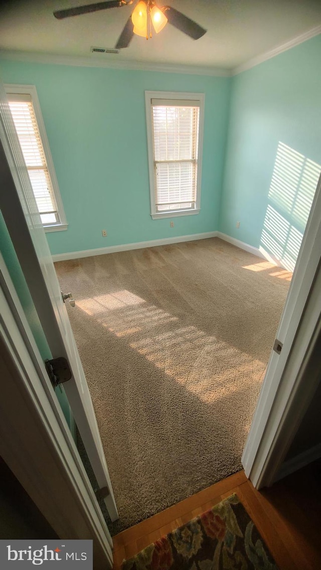 carpeted bedroom featuring multiple windows, ornamental molding, and ceiling fan