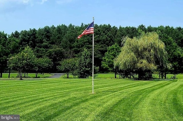 view of community featuring a yard