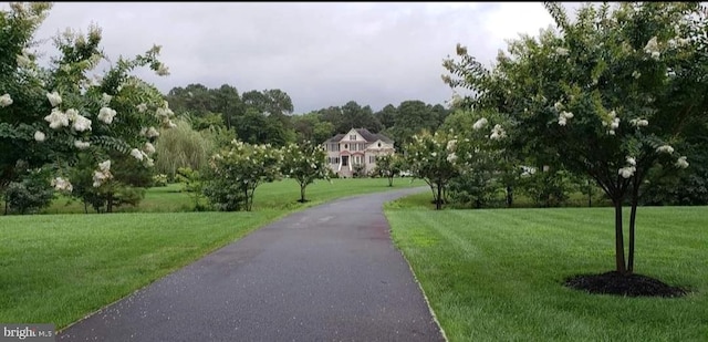 view of community with a yard