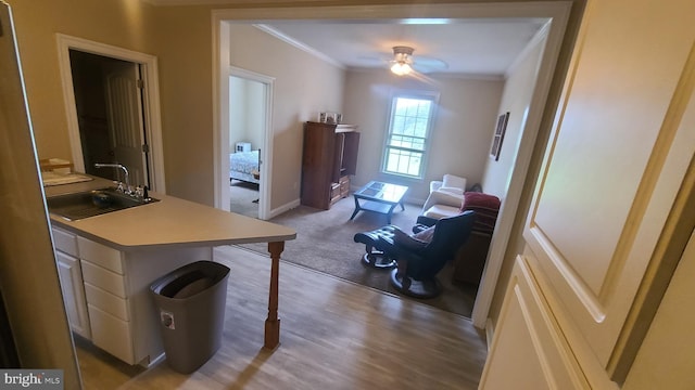 interior space with ceiling fan, crown molding, and sink