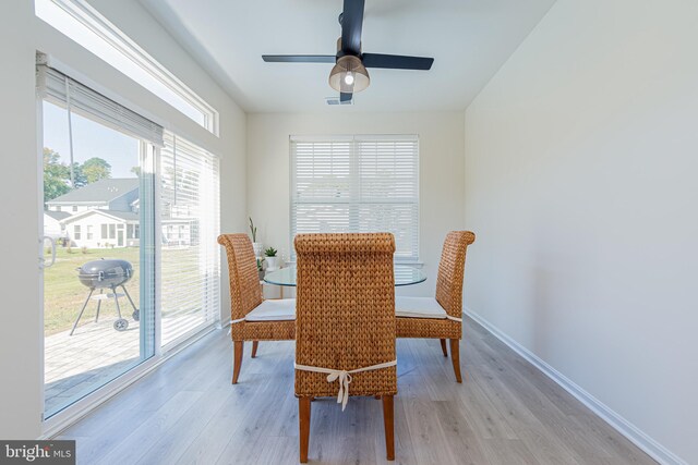 dining space featuring ceiling fan, light hardwood / wood-style floors, and a healthy amount of sunlight